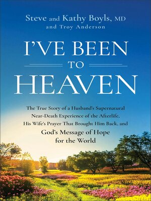 cover image of I've Been to Heaven